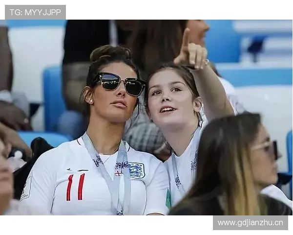 瑞典球迷黄蓝军团