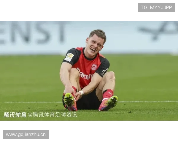 维尔茨重伤后状态恢复程度如何体现